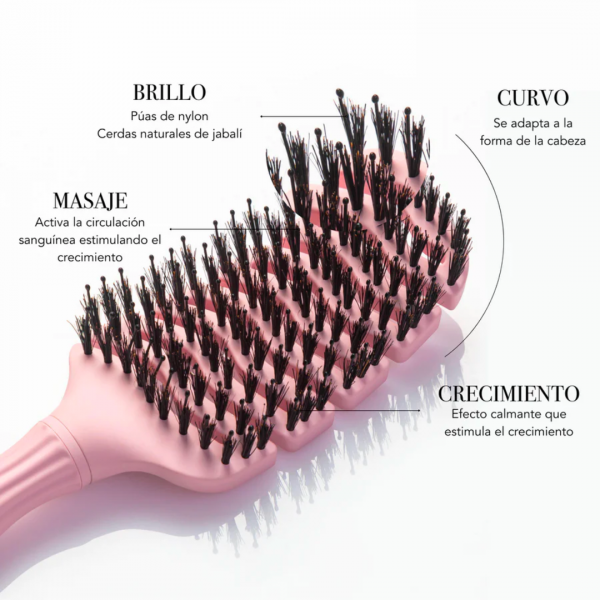 MONCHO MORENO CEPILLO MÁGICO ROSA 2