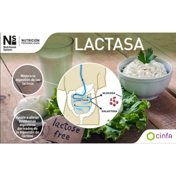 Ns Lactoben Max 30 comprimidos