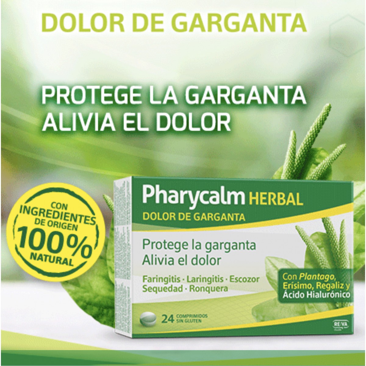 PHARYCALM HERBAL 24 comprimidos