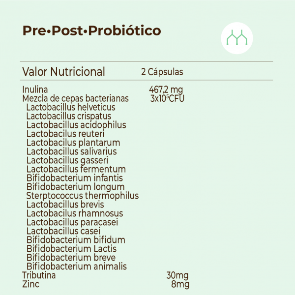 KOBHO PRE-POST PROBIÓTICO 60 capsulas 2