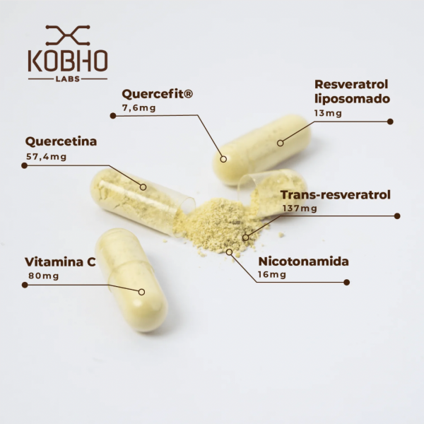 KOBHO TRANS RESVERATROL + QUERCETINA 60 capsulas