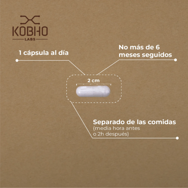 KOBHO ÁCIDO ALFA-LIPOICO 60 capsulas 2