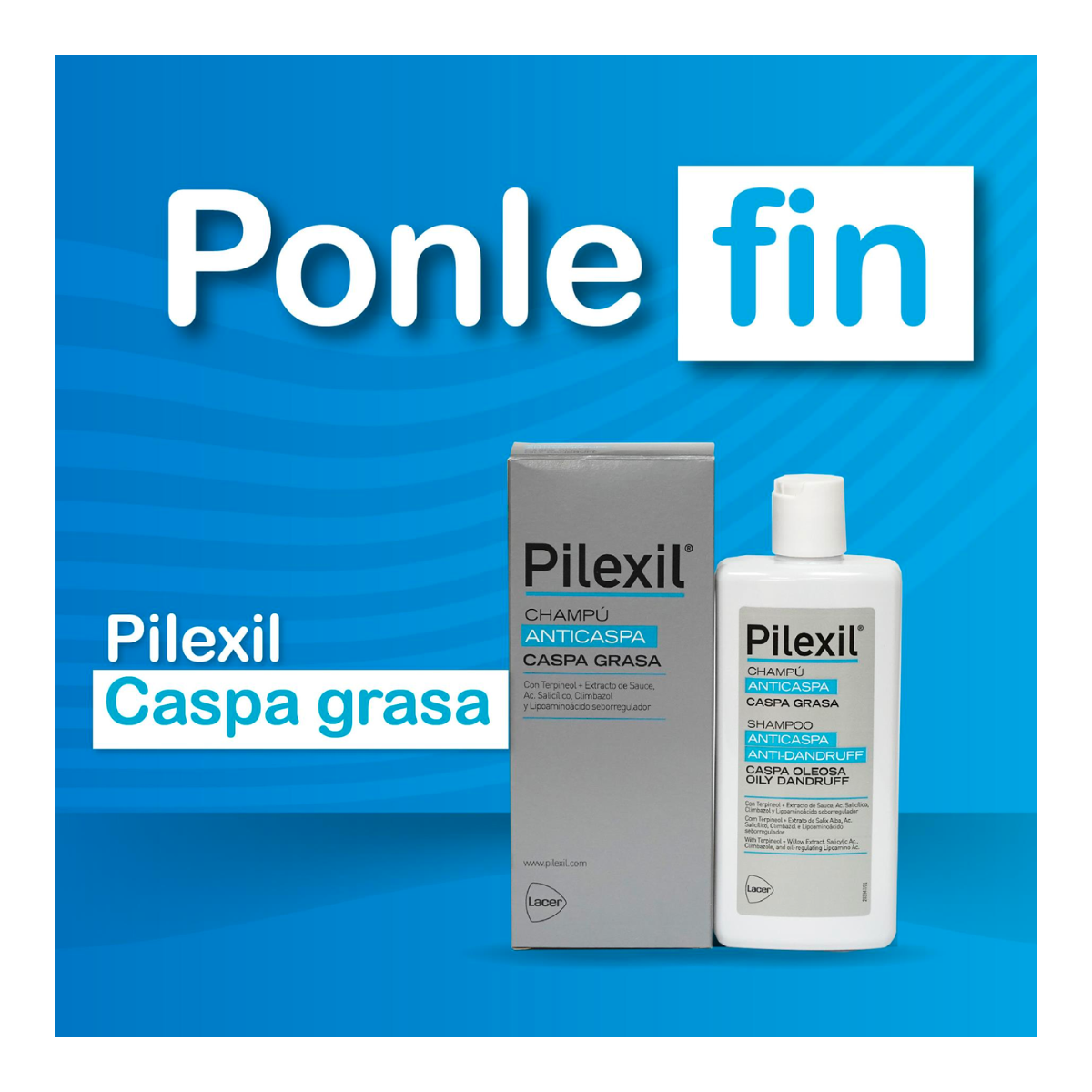 PILEXIL CHAMPU ANTIGRASA  300 ML