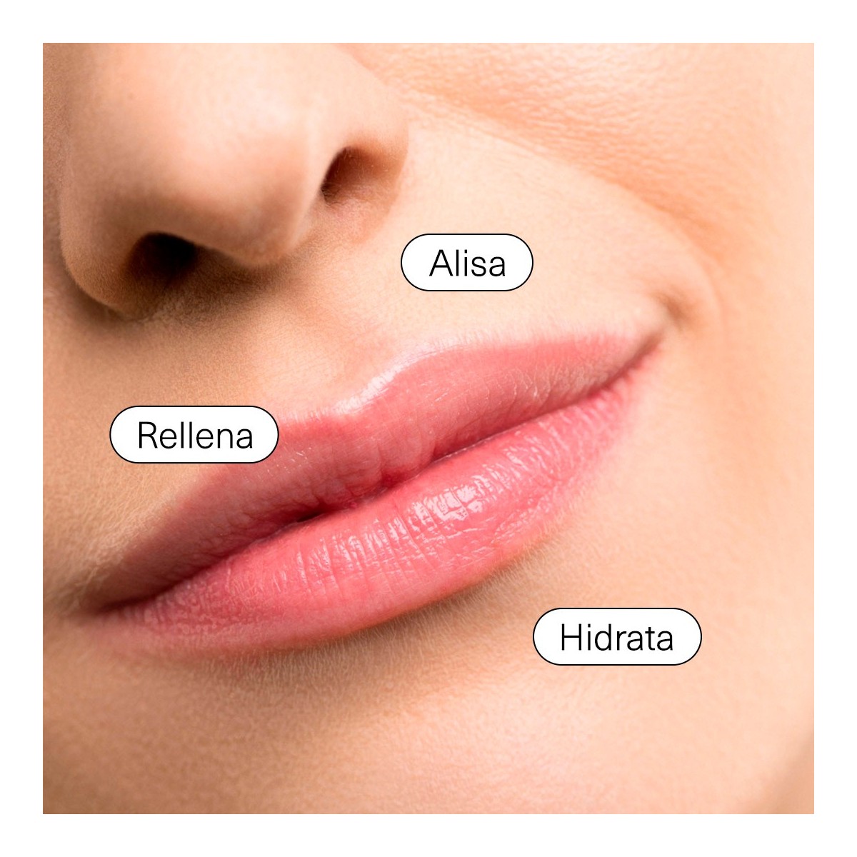 PRIMADERM SINGULADERM XPERT Expression Booster...