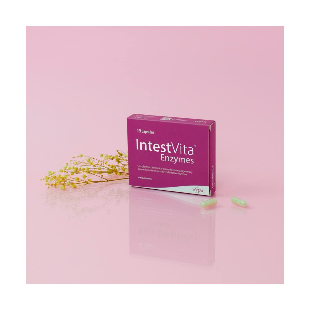 VITAE iNTESTVITA 15 CAPSULAS