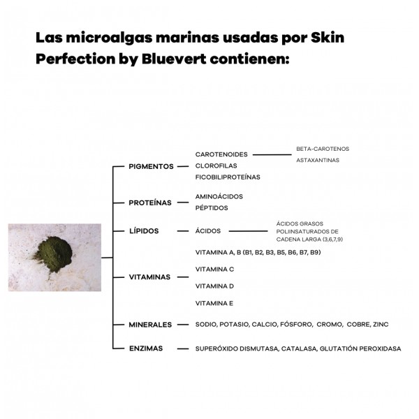 Skin perfection by Bluevert Total AntiOx 60 cápsulas 2