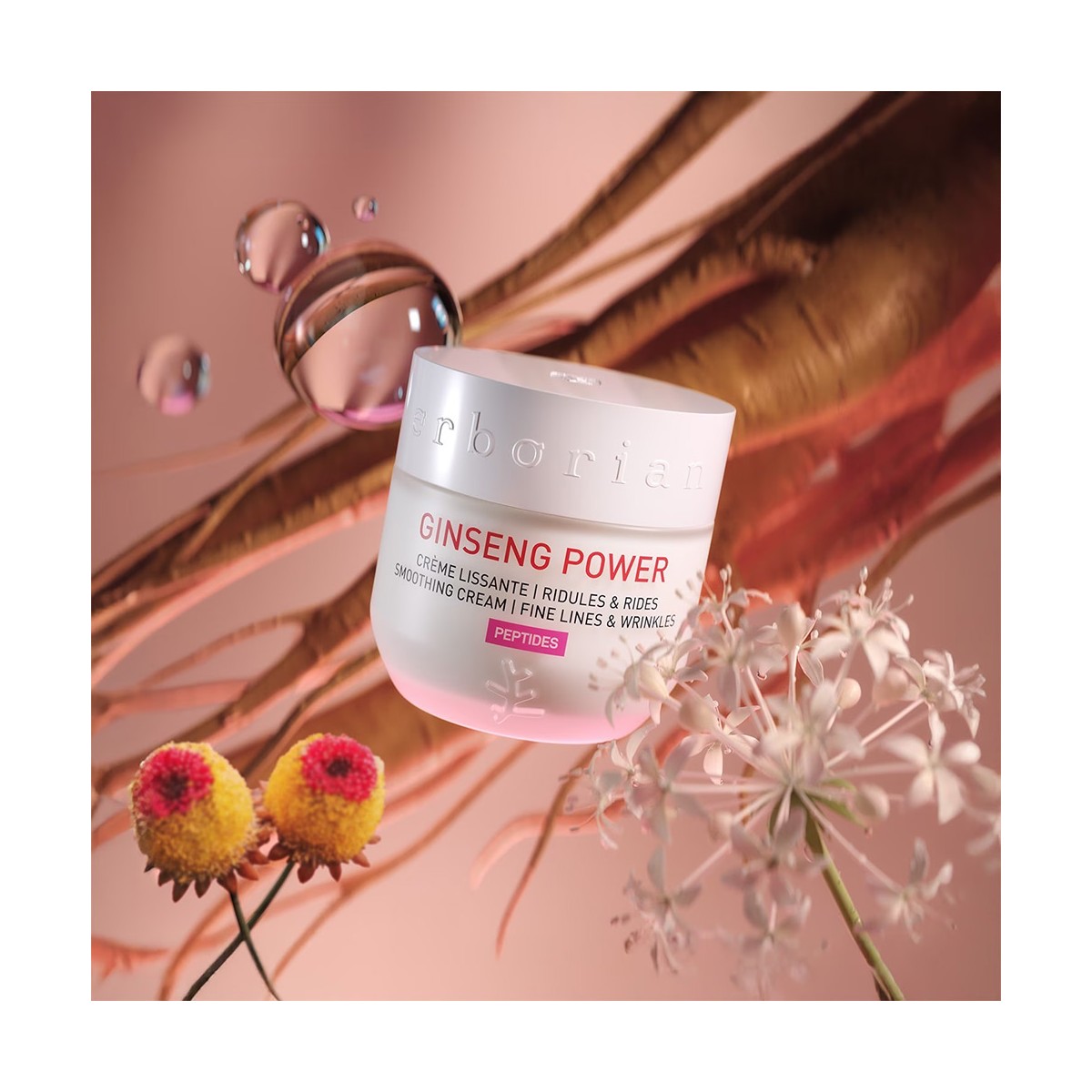 Ginseng Power Erborian 50ml