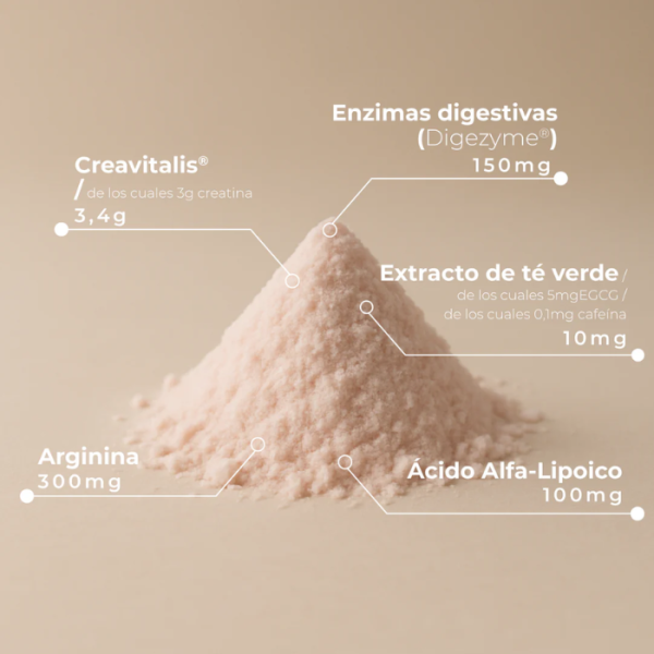 Kobho Creatina Plus 240 gr 2