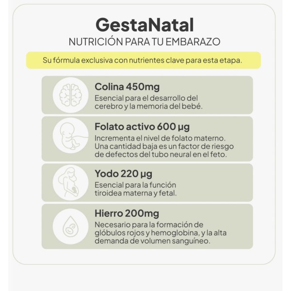 Ivb Gestanatal 60 cápsulas