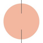 Higiene Nasal