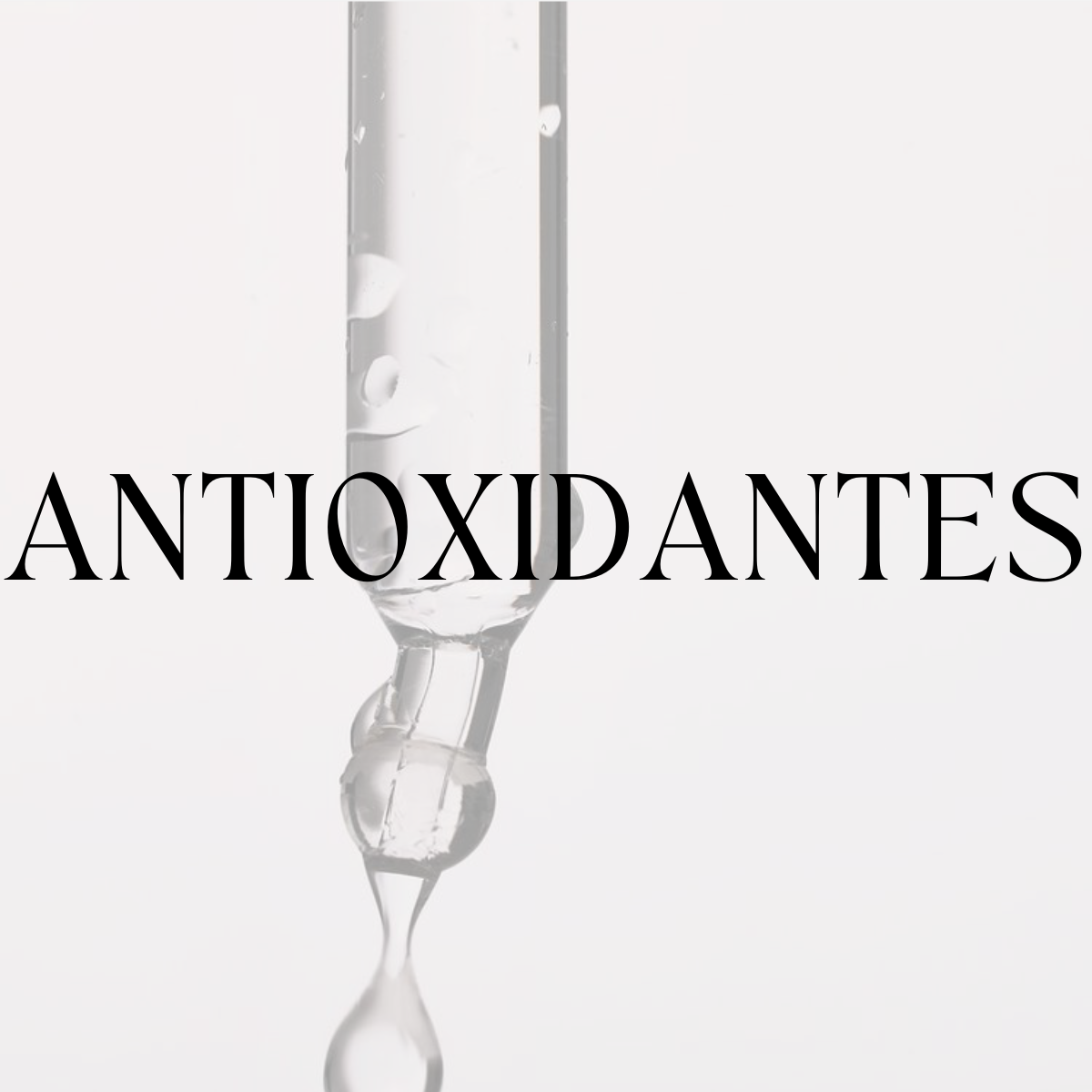 Categoría de productos antioxidantes